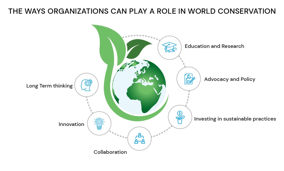 Ways Organisation can play a role in World Conservation