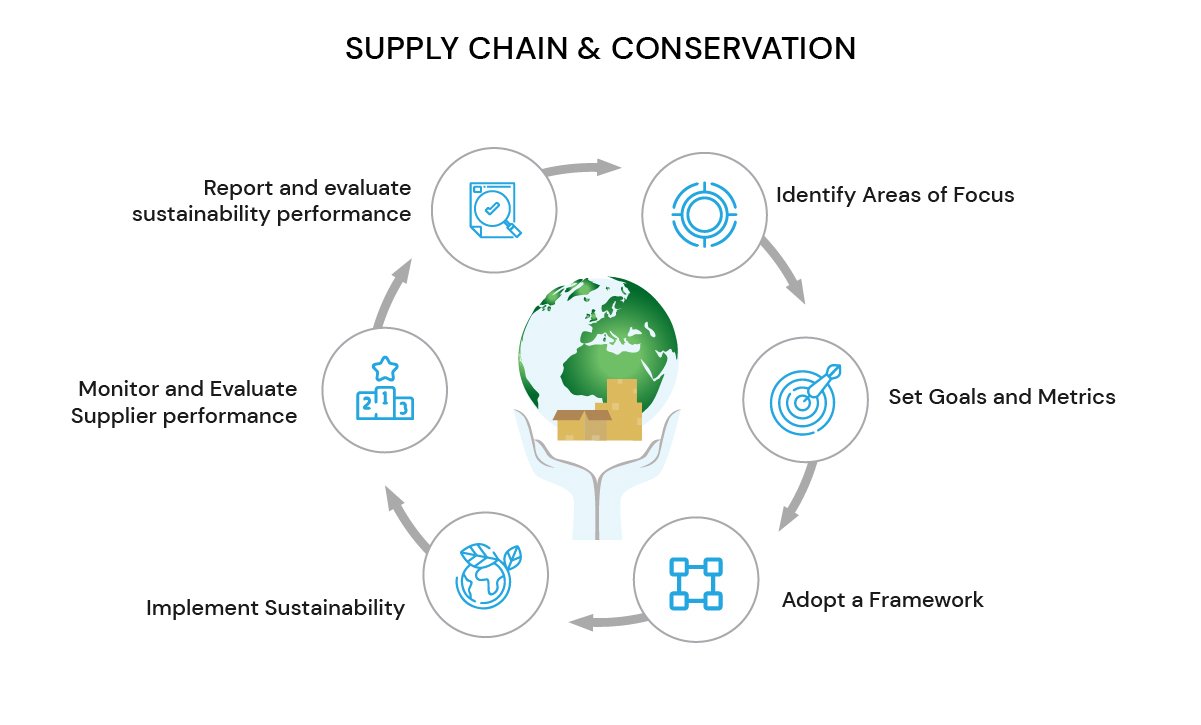 Supply Chain and World Conservation